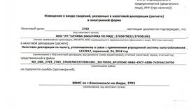 Что отражено в налоговой декларации в Созвездие Красоты