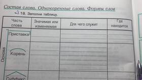 Что такое изменяемая приставка в Созвездие Красоты