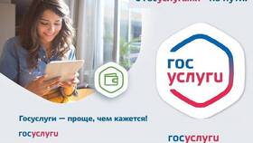 Как оформить социальные выплаты через Госуслуги в Созвездие Красоты