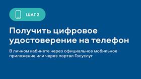 Как оформить ветеранское удостоверение через Госуслуги в Созвездие Красоты