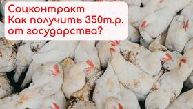 Как открыть бизнес с поддержкой государства в Созвездие Красоты