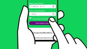 Как перейти с МТС на Мегафон с сохранением номера в Созвездие Красоты