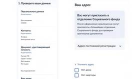 Как подать заявление на пенсию через Госуслуги в Созвездие Красоты