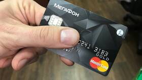Как посмотреть информацию на МегаФоне в Созвездие Красоты