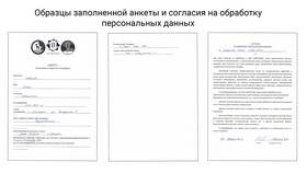 Как правильно написать текст в документе в Созвездие Красоты