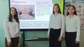 Как правильно писать 
