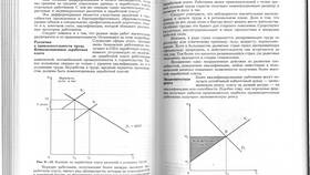 Как работнику найти справедливую заработную плату в Созвездие Красоты