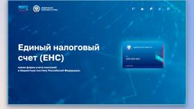 Как рассчитать единый налог в Созвездие Красоты