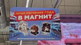 Как узнать количество бонусов на карте Магнит в Созвездие Красоты