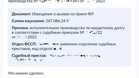 Как узнать номер исполнительного производства по алиментам через Госуслуги в Созвездие Красоты
