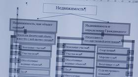 Как вставить рисунок в документ в Созвездие Красоты