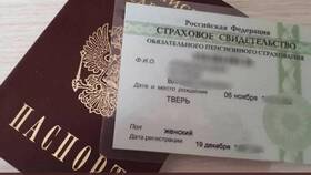Как выглядит СНИЛС гражданина РФ в Созвездие Красоты