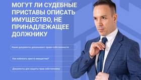 Кредитор узнал, что у должника нет имущества: что делать в Созвездие Красоты