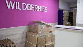 Почему Wildberries ввел платную доставку в Созвездие Красоты