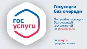 Портал Госуслуги не принимает паспорт: что делать в Созвездие Красоты