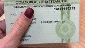 Страховое свидетельство государственного пенсионного страхования: что это в Созвездие Красоты